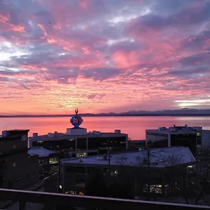 Apartment Floor Water View Oasis Near Space Needle & Cruise Seattle
